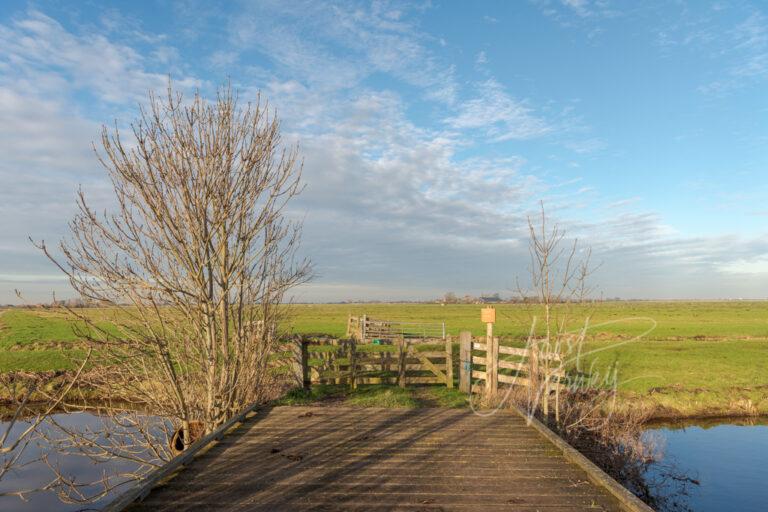 Natuurgebied de Donkse Laagten D81012306