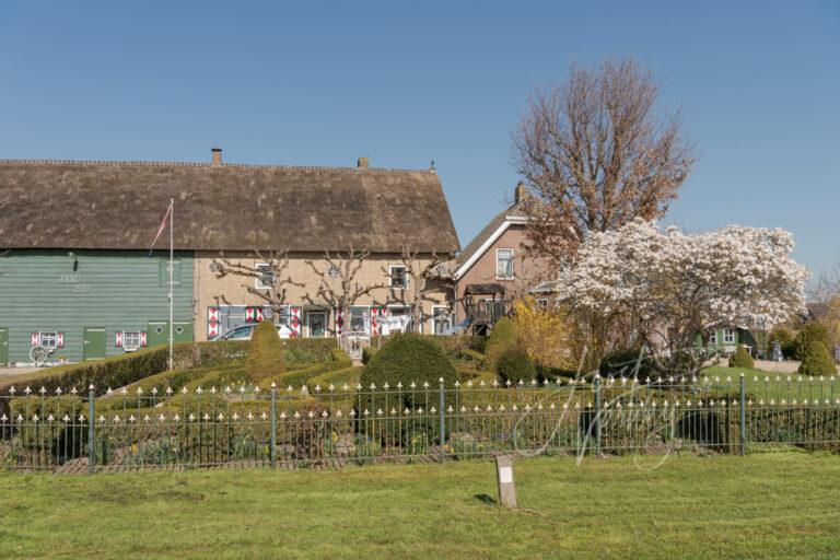 Boerderij in Graafland D81012649