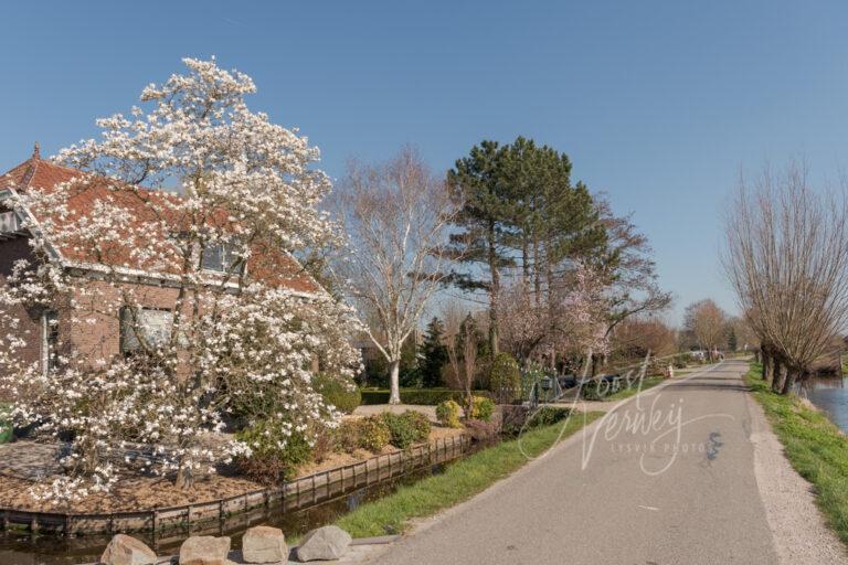 Boerderij in Graafland D81012672