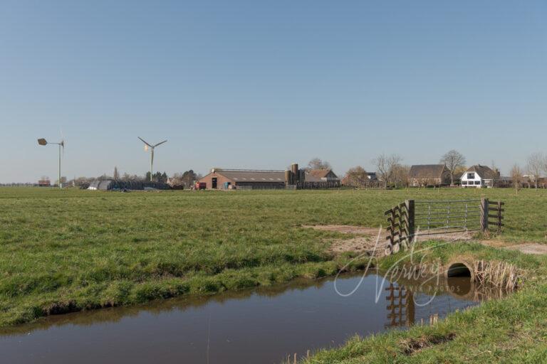 Boerenbedrijven in Graafland D81012680