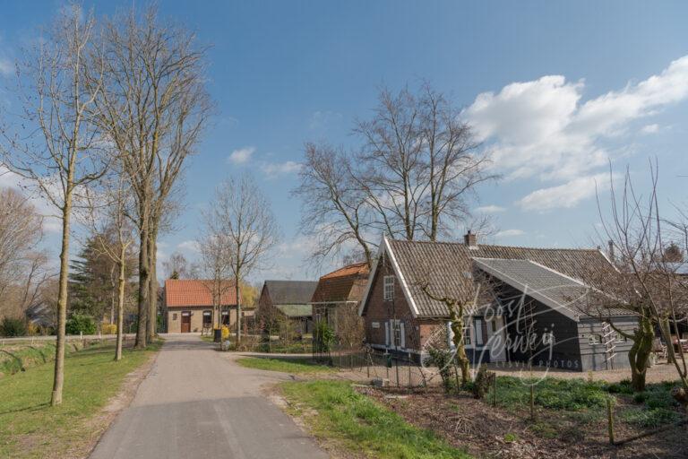 Straatje in het buurtschap Liesveld D81012692