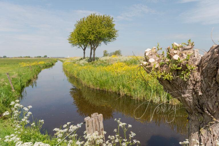 Polderlandschap bij Groote- of Achterwaterschap D81012975