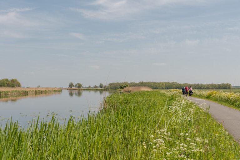 Fietsen op de Achterkade D81012980