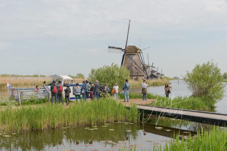 Toeristen bij de Kinderdijk D81013020