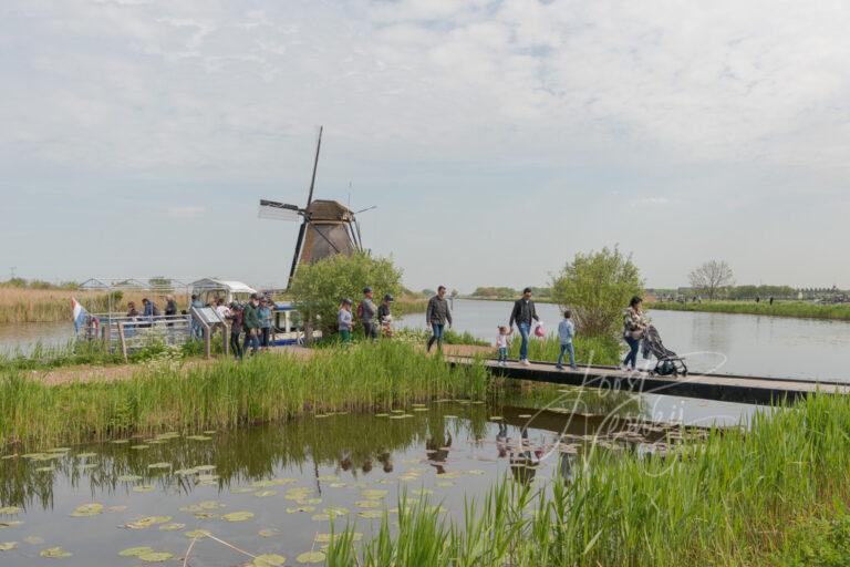 Toeristen bij de Kinderdijk D81013022