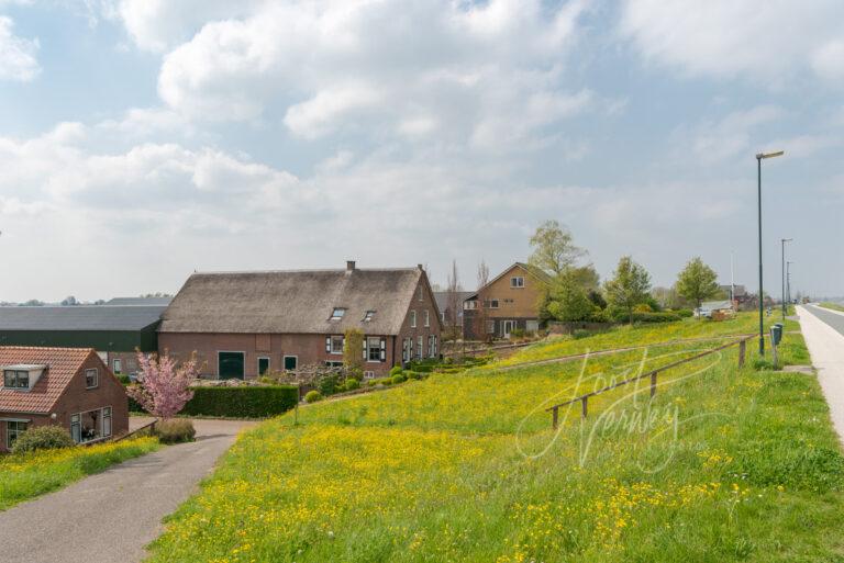 Boerderijen langs de Lekdijk D81012916