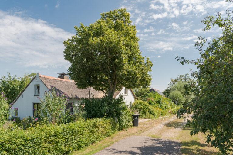 Woning aan de Voordijk in Hoornaar D81013452