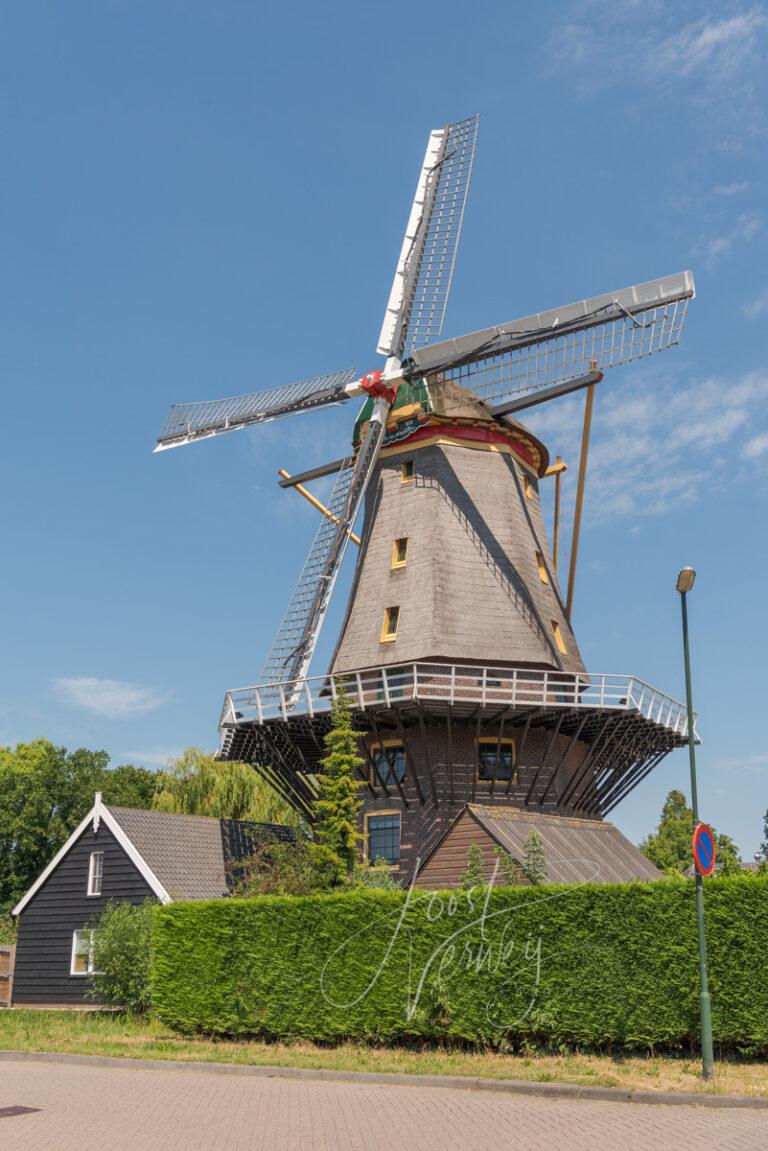 Molen Jan van Arkel D81013468