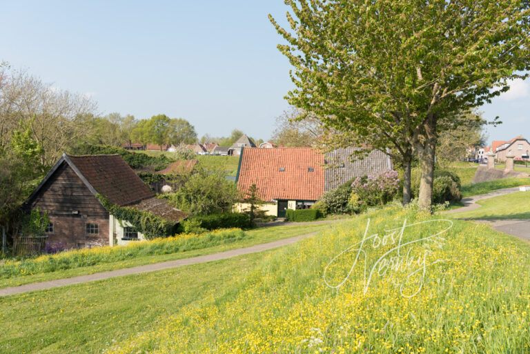 Dijkwoningen Nieuwpoort D81012776