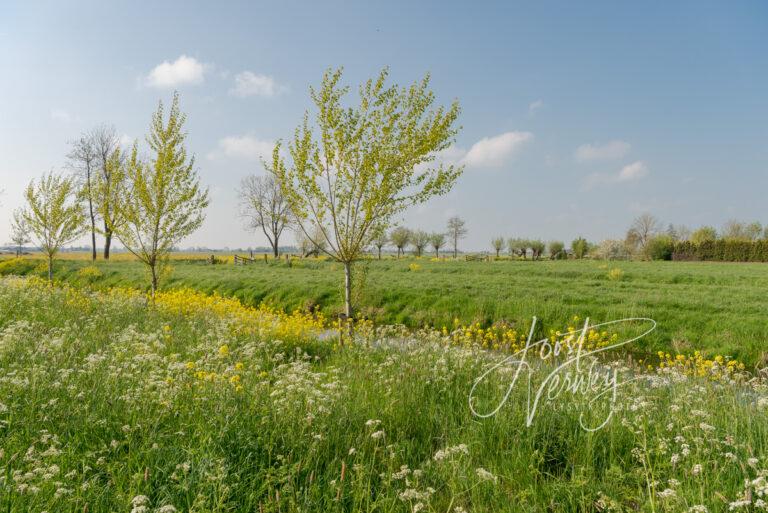 Polderlandschap achter buurtschap Waal D81012813