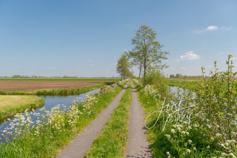 Wandel en fietspad in polderlandschap D81012958