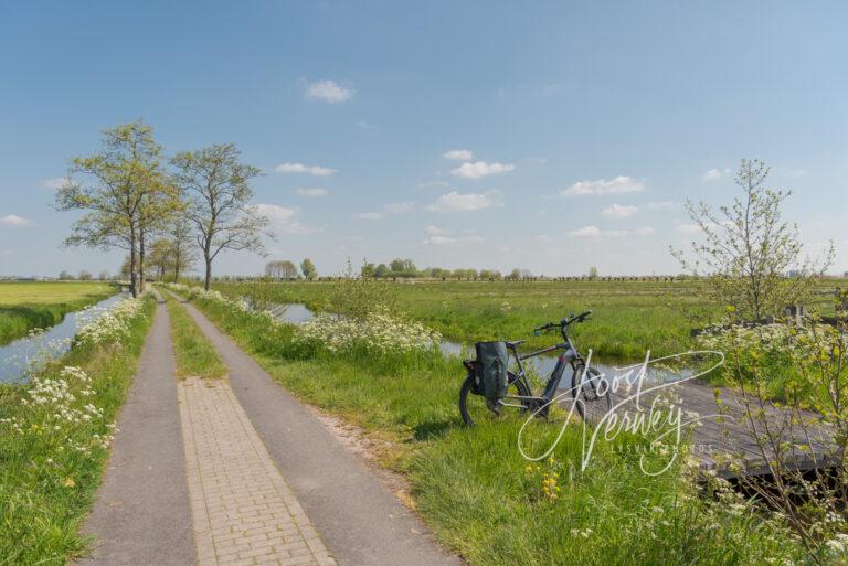 Wandel en fietspad in polderlandschap D81012962