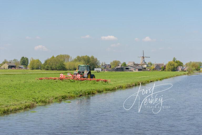 Het harken van gemaaild gras D81012966