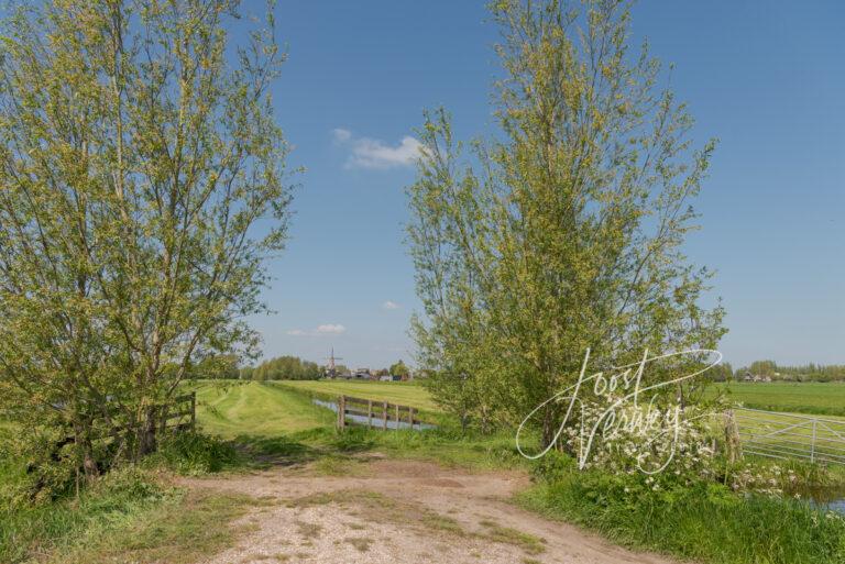 Doorkijkje in poldergebied naar molen De Liefde D81012968