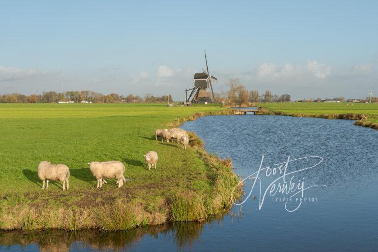 Oude Weteringmolen in Streefkerk D81013664