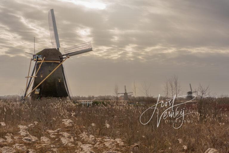 Hoge Molen in Nieuw-Lekkerland D81013894