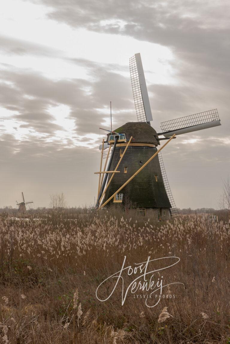 Hoge Molen in Nieuw-Lekkerland D81013896