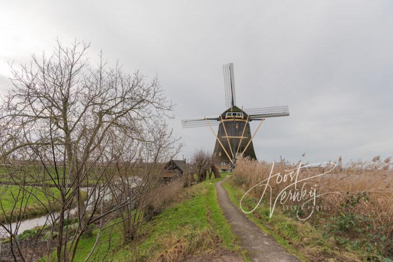 Hoge Molen in Nieuw-Lekkerland D81013899