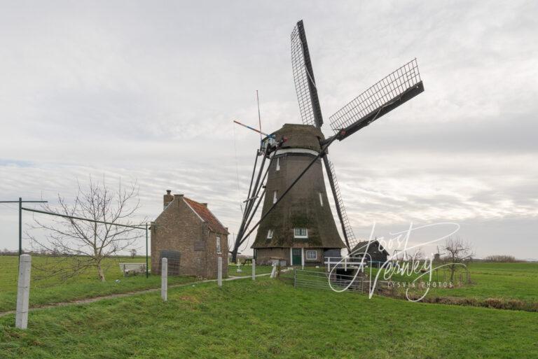 De Kleine Molen aan de Boezemkade D81013903