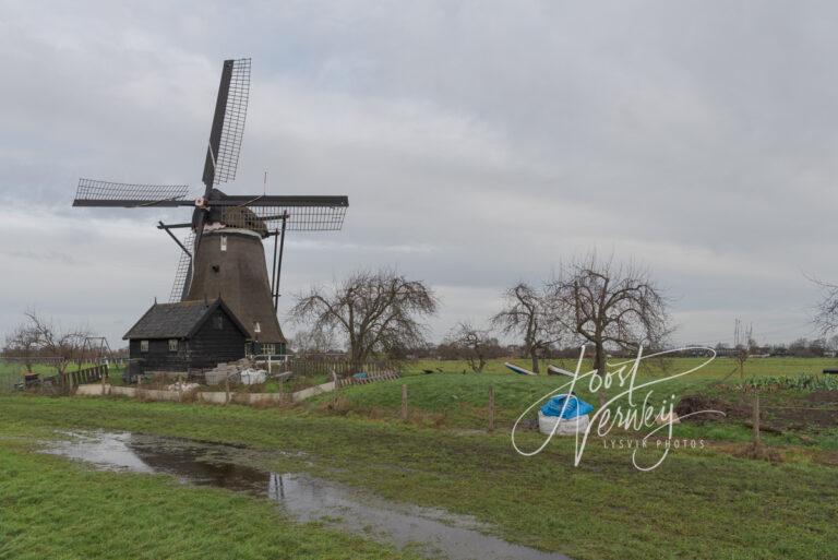 De Kleine Molen aan de Boezemkade D81013911