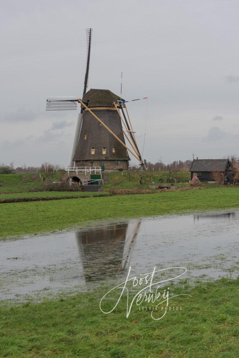 Hoge Molen in Nieuw-Lekkerland D81013924