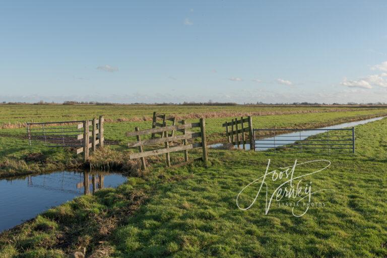 Polderlandschap in de Donkse Laagten D81013980