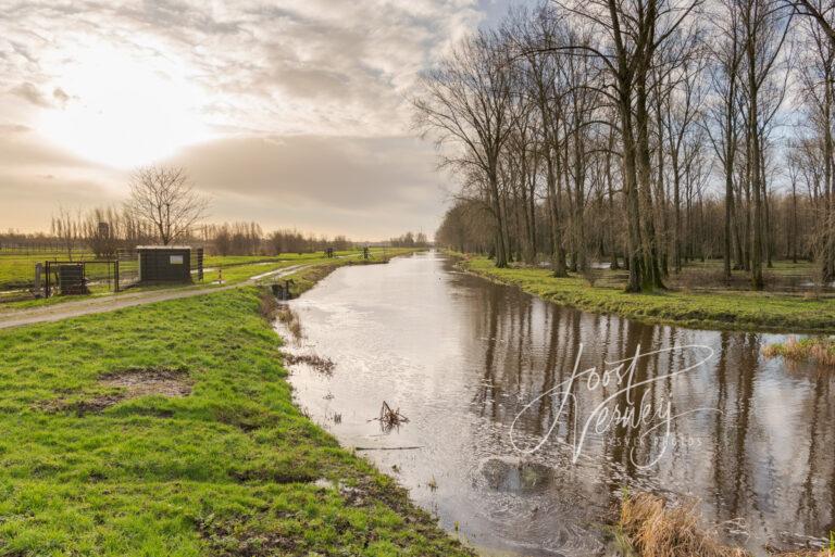 Hoge waterstand de Sliedrechtse binnenvliet D81013999