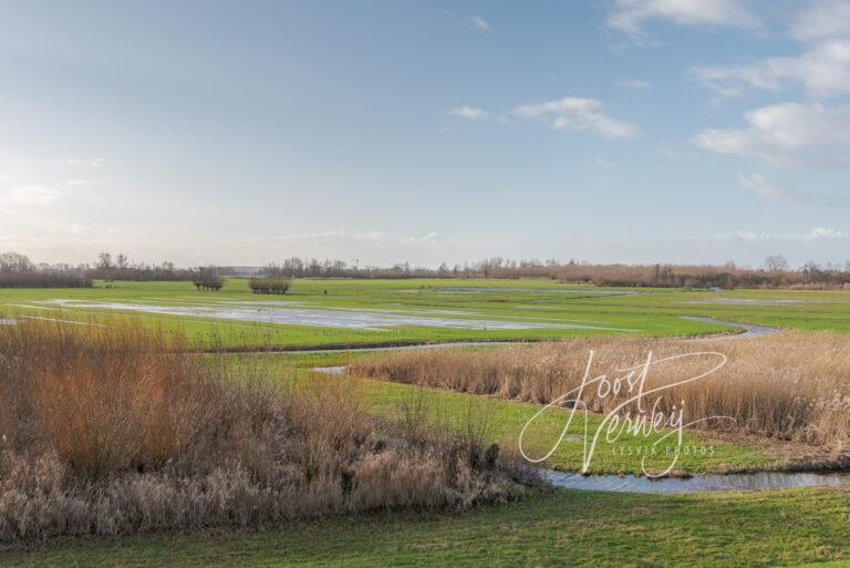 Dordtse Avelingen bij hoge waterstand D81014039