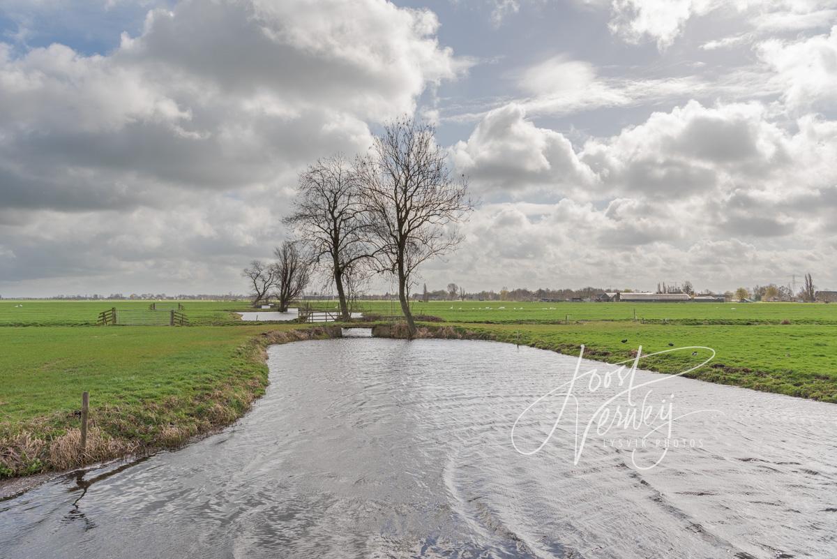 Achterwetering in de polder Bleskensgraaf