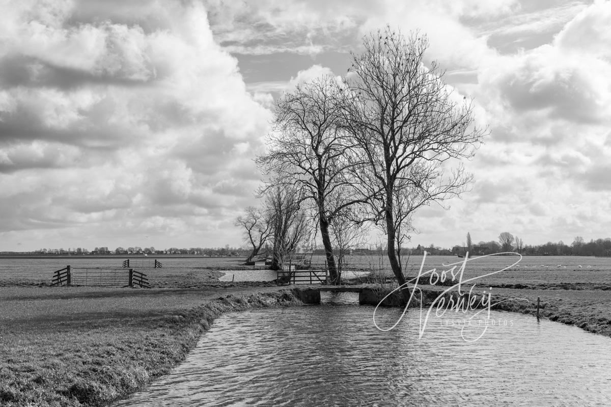 Achterwetering in de polder Bleskensgraaf