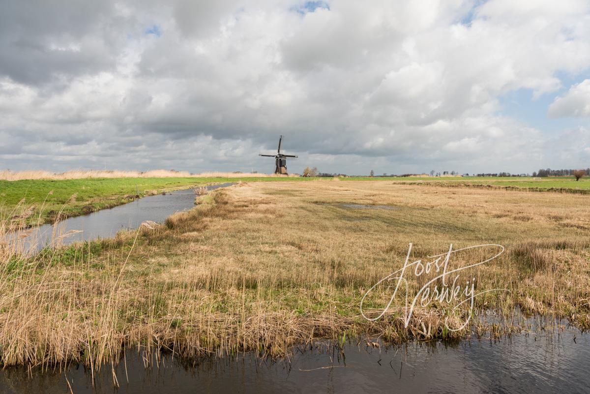 Natte graslanden in Donkse Laagten