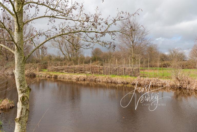 Wilgenscherm in aanbouw bij Zijdewe