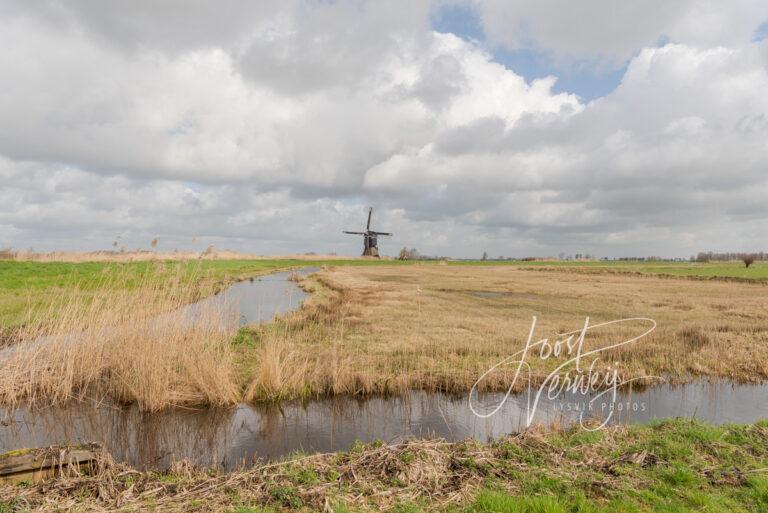 Natte graslanden in Donkse Laagten