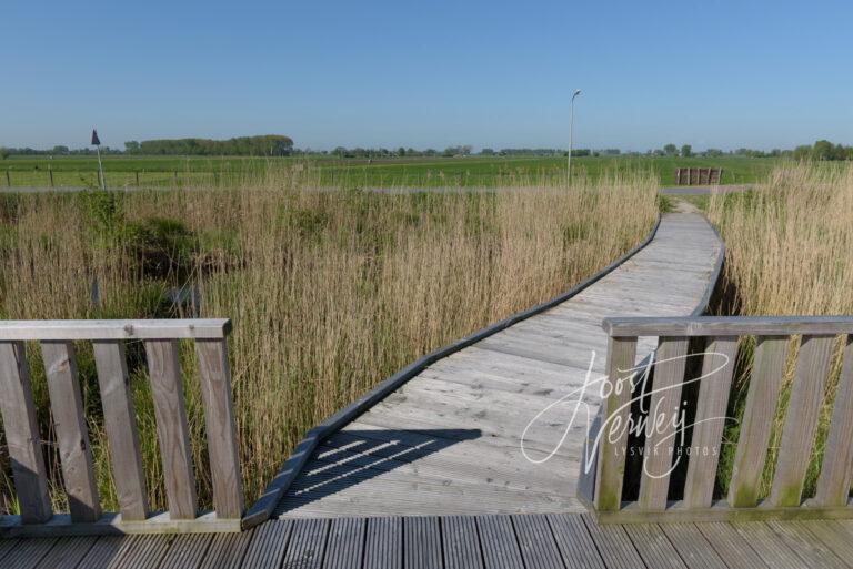 Uitkijkpunt in het natuurgebied de Zouweboezem