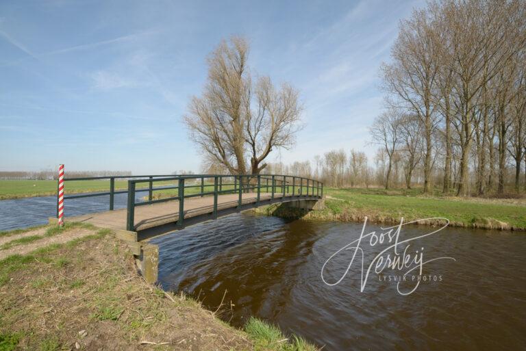 Waterpartij met bruggetje bij het Kraaienbos