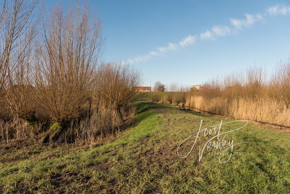 Wandeldijkje in natuurgebied Avelingen