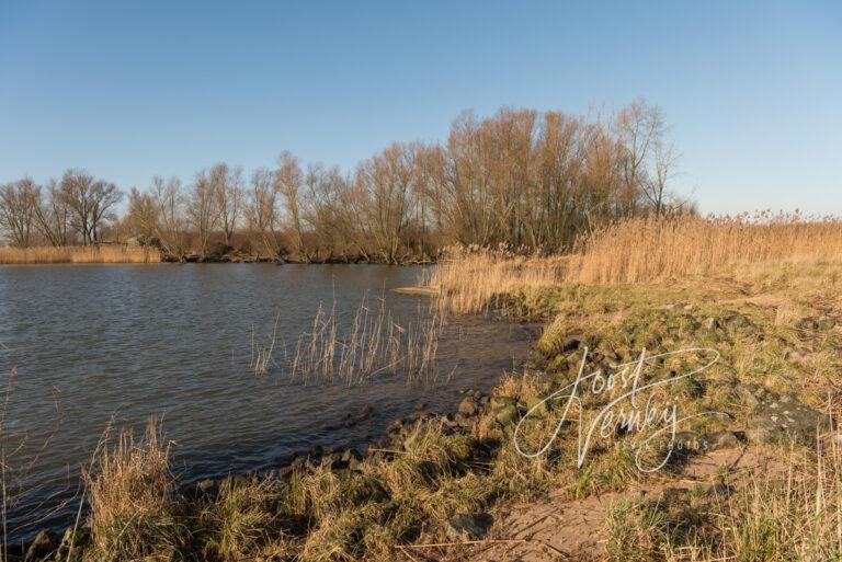 Oever langs de rivier de Boven-Merwede in natuurgebied Avelingen