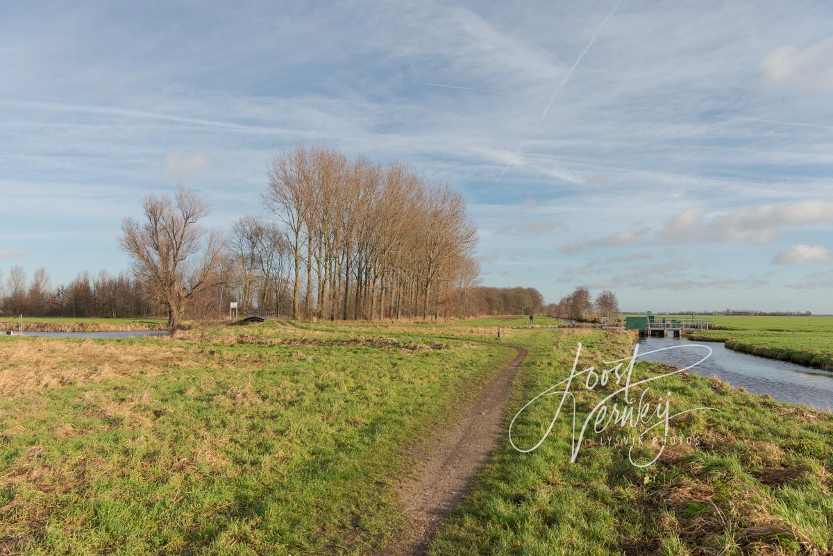 Recreatiebos Oosteinde Wijngaarden