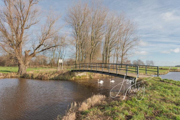 Waterpartij met bruggetje bij Kraaienbos