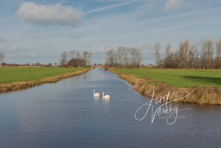 De Binnenvliet bij het Kraaienbos