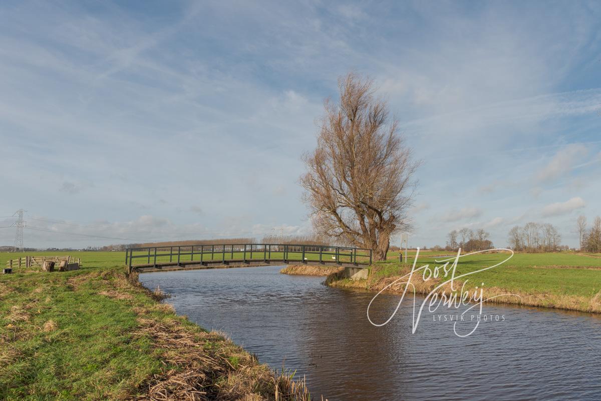 Waterpartij met bruggetje bij het Kraaienbos