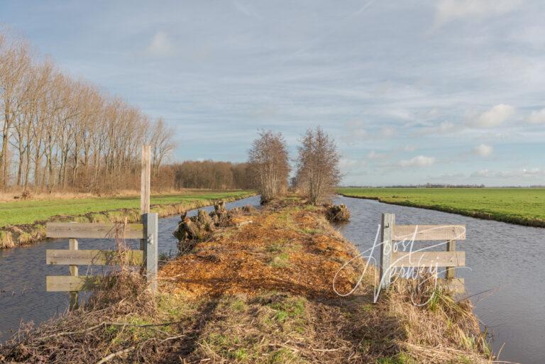 Wandelpad op Tienweg bij het Kraaienbos