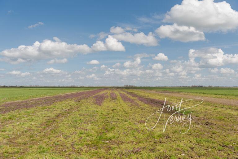 Polder Langenbroek bij Donkse Laagten