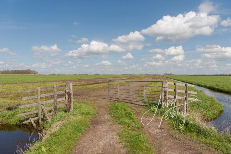 Polderlandschap bij Donkse Laagten