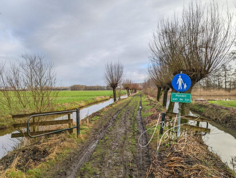 Tiendweg in natuur- en recreatiegebied de Slingelandse plassen