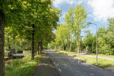 Bomenrij Parallelweg Hardinxveld-Giessendam