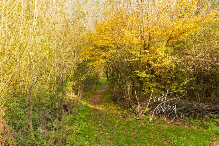 Doorgang Heemtuin in herfstkleuren