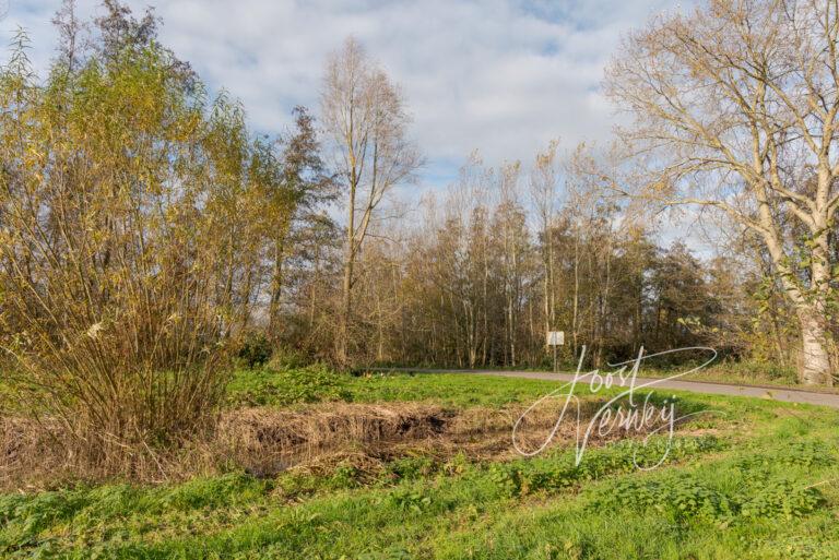 Poel langs de Elzenweg