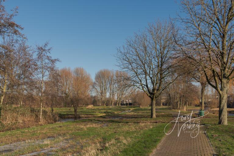 Wandelpad in park Noordhoekse wiel