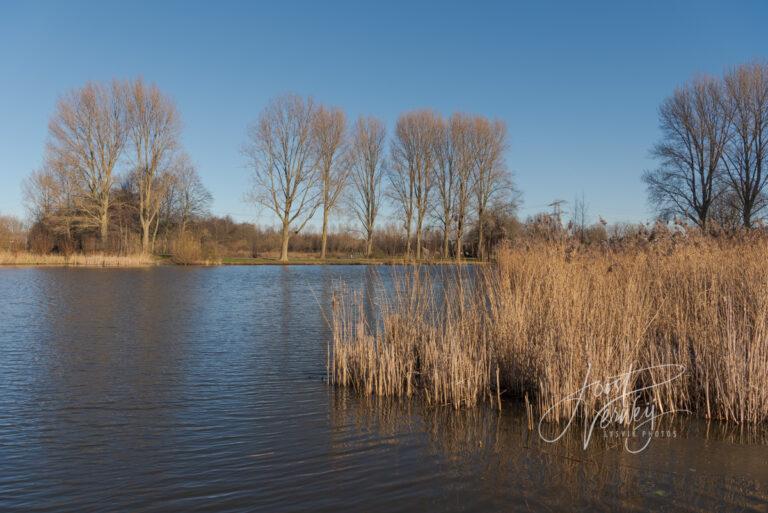 Winterse blik op het park Noordhoekse Wiel